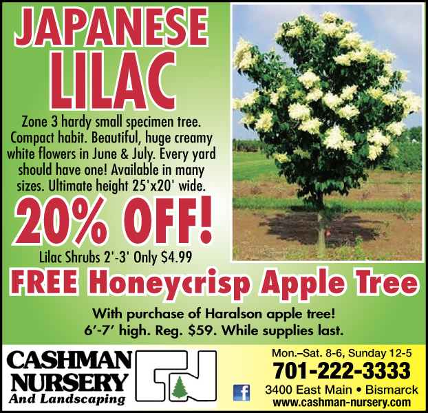 Cashman Nursery Sales